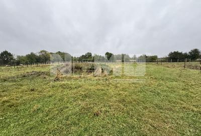 Teren 34 Ari | Marginea | Intravilan - 1