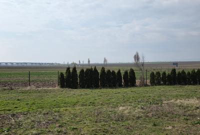 Casa P+1 zona PECO Bejan - drumul Ruginestiului - - 13