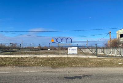 Teren investitie 34.000 mp Centura Caransebes - 8