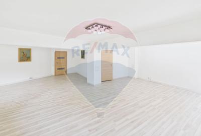 Duplex spatios de inchiriat - Tineretului - 5