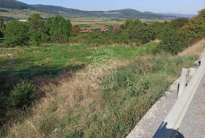 Teren intravilan 1400 mp cu utilitati la DN 17- Crainimat - 1