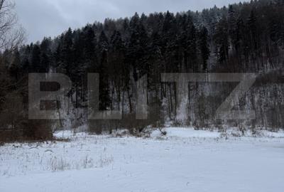 Cabană la munte în inima pădurii la 15 km de Brașov, zona Zizin - 2