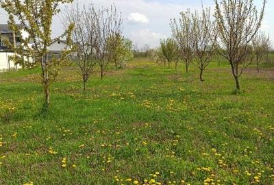 Teren parcelabil, intravilan, 6400mp cu casa renovata - ideal investitor - 15