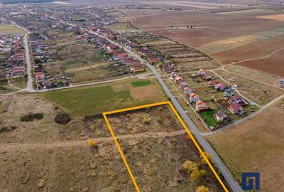 Teren ideal ca investiție, 19000 mp, în Pișchia pe DJ691, comision 0 - 2