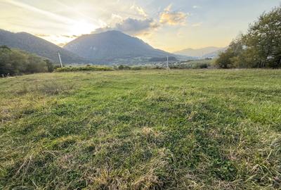 Teren intravilan 500 sau 1000 mp Bran-Tohanita la dum asfaltat - 7