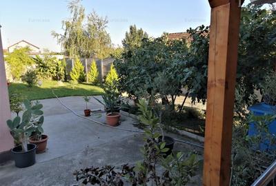 Casa individuala 6 camere P+M, teren 645 mp, in vatra satului Săcalaz - 3