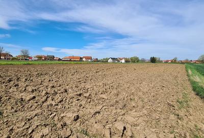 TEREN EXTRAVILAN - 2.100 mp - RECI - 4