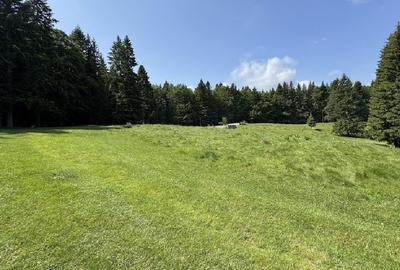 PREDEAL - Teren intravilan 6,000 m² -Poiana Secuilor - 9