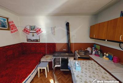 Casa tip duplex cu gradina si anexe, teren, 800 mp, Belis - 8