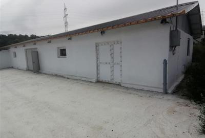 Hala 550mp zona Lunca Cetatuii - Dumbrava - 5