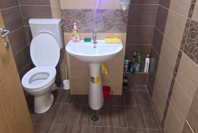 Inchiriez spatiu comercial in Deva, zona ultracentrala, Decebal colt cu Creanga - 10