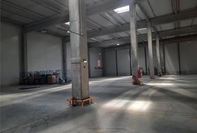 Spatii Industriale - 15000 mp - Logistica - Depozitare - Productie - 23