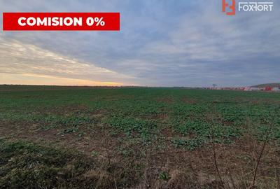 COMISION 0% Teren extravilan agricol 10.000 mp la sosea in Sag - 3