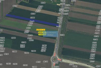 Teren agricol intravilan de 5000 mp, în Frătești