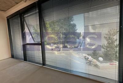 OPORTUNITATE | VANZARE SPATIU COMERCIAL | 44MP | HERASTRAU | WIN | - 3