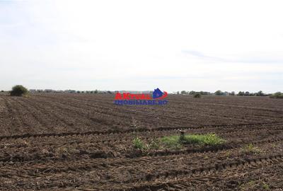 Teren de vanzare Balotesti -27.500mp-Stradal -Residentiale sau Comercial-cu toat - 2
