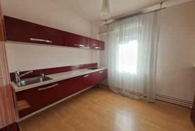 Pe cel mai frumos bulevard din oraș CORNELIU COPOSU-terasa cu vedere Bega - 11