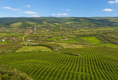 Teren agricol extravilan de 196000 mp, în Brestovăț