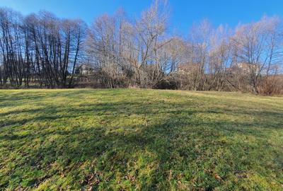 Teren rezidential zona Bran Predelut zona de case si pensiuni - 2