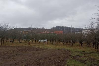 De vânzare terenuri intravilane - 8