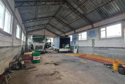 Hala Depozitare | Service Auto | Zona strazii Oasului - 1
