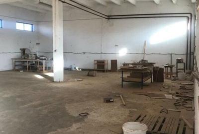 Hala de inchiriat Sannicolau Mic, Arad - 3