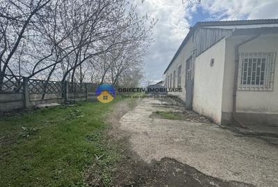 Hala si teren Piatra Neamt - str. G-ral Dascalescu - 10