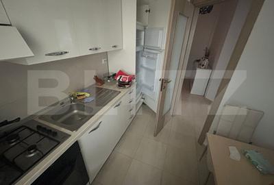 Apartament 3 camere, 100 mp, LIDL Lunca Cetatuii - 8