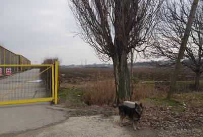 Glina, str. Morii, teren intravilan 10000 mp - 1