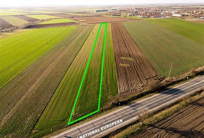 RECO teren 5000mp cu deschidere la DN19 Tamaseu - 1