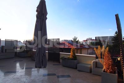 Triplex superb cu 4 camere si terasa generoasa cu priveliste - 16
