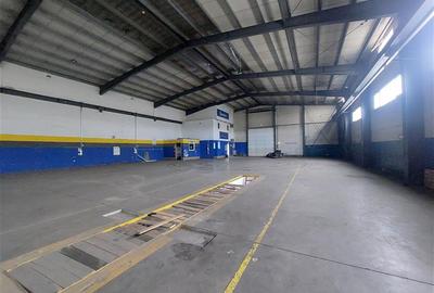 3 hale de inchiriat in Micalaca - 2