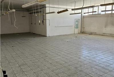 Spatiu Industrial - 1700 mp - Productie - Depozitare - Distributie - 7