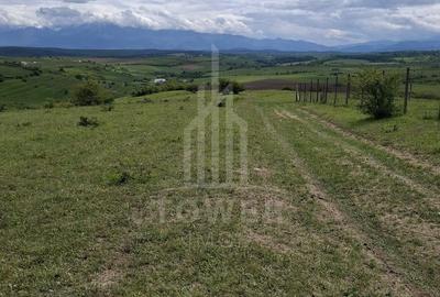 De vanzare, teren 11.500 mp – Dealul Dăii,  Vedere panoramică spre munți și lac - 2