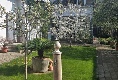 Casă Renovată cu Grădină | 227 mp | 3 Terase | 3 Dormitoare | Milcov - 3