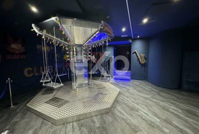 Vanzare Afacere la Cheie | Club de Noapte | Autorizat ISU | Herastrau 1150 MP - 15