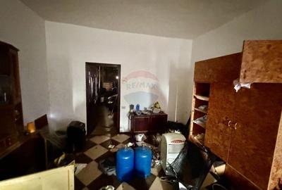 Casă cu 4 camere si teren 7727 mp Blidari - 19