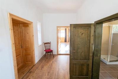 RECO Proprietate cu 2 case si teren mare in Girisu de Cris - 15