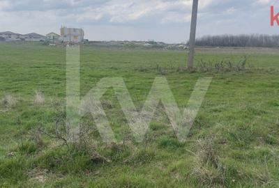 TEREN INTRAVILAN 1000 MP CARCEA - ZONA HANUL CU PONEI - 3