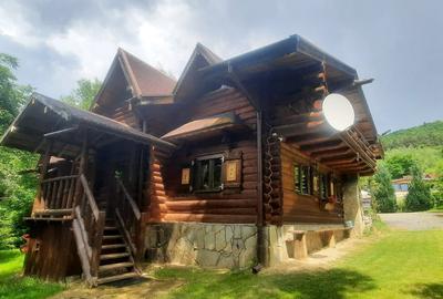 Casa de vacanta superba cu lac Rasnov-Glejerie - 3