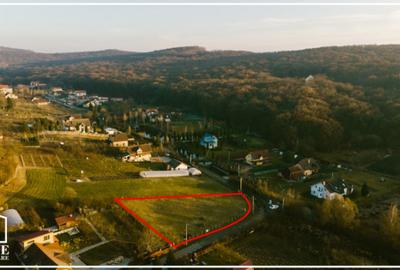 Teren intravilan de vânzare, 1800m?, Corunca! - 2