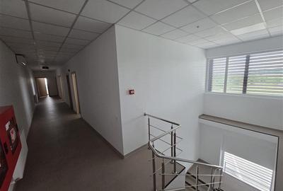Inchiriere depozit frigorific congelare/hala/spatiu industrial Otopeni - Centura - 35