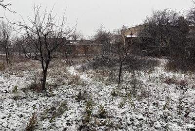 Vand gospodarie taraneasca traditionala - 3