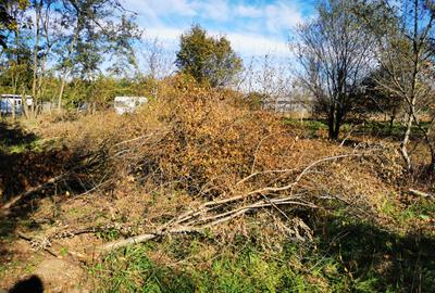 Teren Generos cu Casa in Gruiu - Snagov - 7