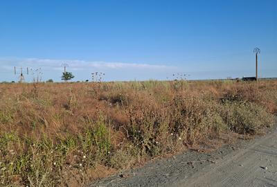 Corbu-faleza-loturi de 515mp - 2