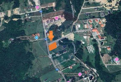 Teren 1600 mp cu proiect & autorizație, Chalet Duplex Râșnov Glăjerie - 2