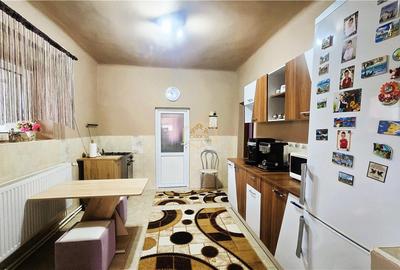 VIDEO | Casa cu teren generos si deschidere la 3 strazi | 10 minute de Satu Mare - 12