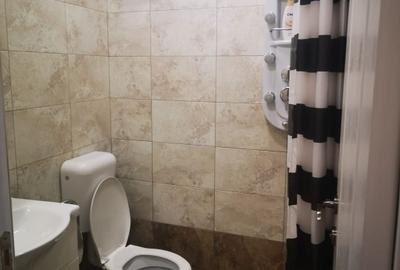 Persoana fizica vănd garsoniera cu 1 camera în casă cu curte comună - 3