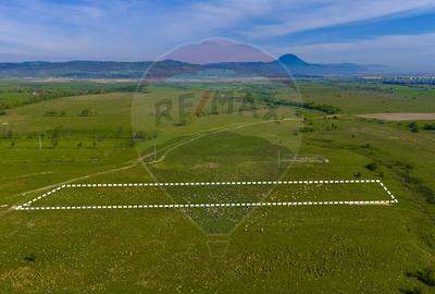 Teren 1ha, extravilan Rasnov / Agricultură sau fermă/ COMISION 0% - 4