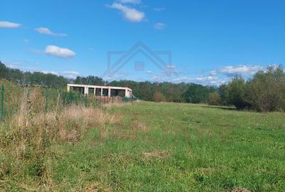 TEREN INTRAVILAN CU PUZ\ 704 MP\CARANSEBEȘ\ ZONA TEIUȘ - 5